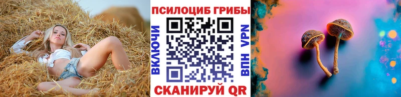 купить наркотики цена  мориарти наркотические препараты  Псилоцибиновые грибы Psilocybine cubensis  Азнакаево 